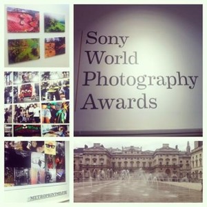 Sony Photography instagram pictures