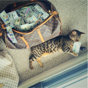 Cashcats